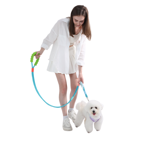 Dual-Section Braided Dog Walking Leash with colorful foam handle Dual-Section Braided Dog Walking Leash with colorful foam handle