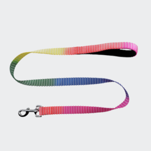 personalized colorful Striped webbing Pet Leash with padded neoprene handle