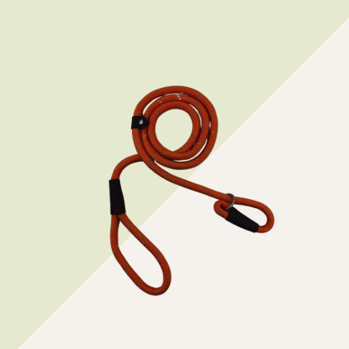 Durable High Quality Reflective training Dog Round Leash Collar Set