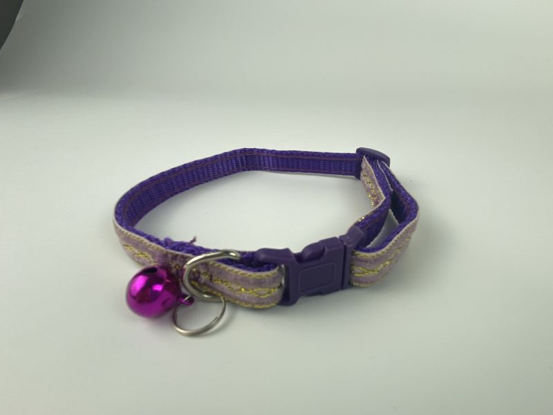 purple collar main image