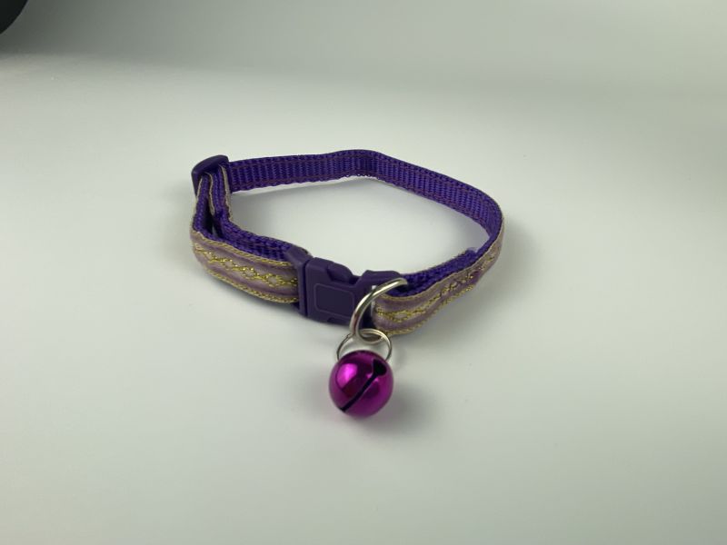 purple collar main image
