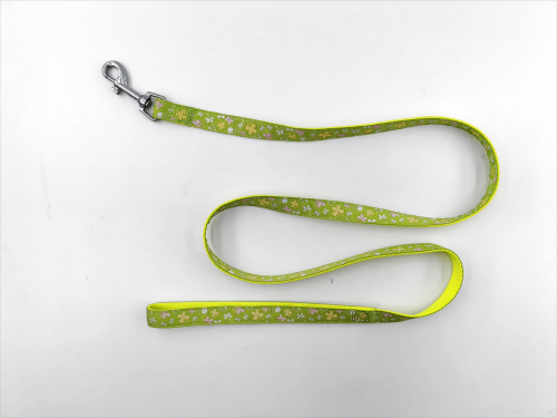 IMG_20240323_155413(1)(1)