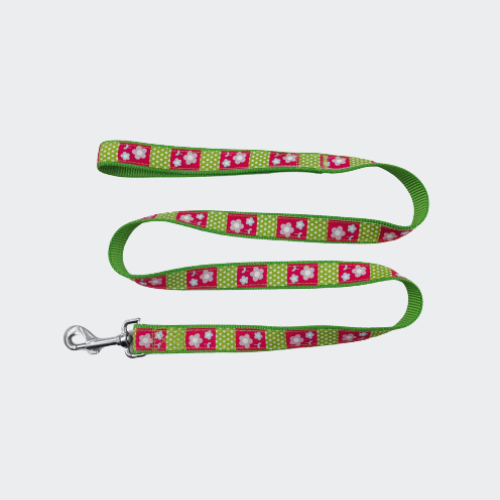 Customized dog leash with fashion pattern ribbon Customized dog leash with fashion pattern ribbon