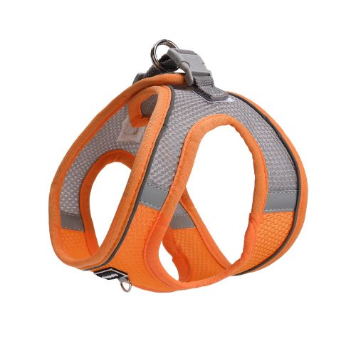 Orange color Orange color