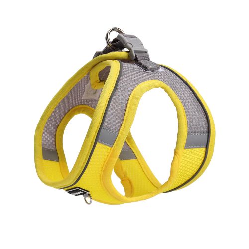 Yellow color Yellow color