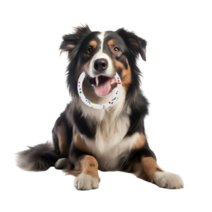 Ring Water Floating Chew Dog ToysOutdoor Fitness Flying Discs Training Ring for pet