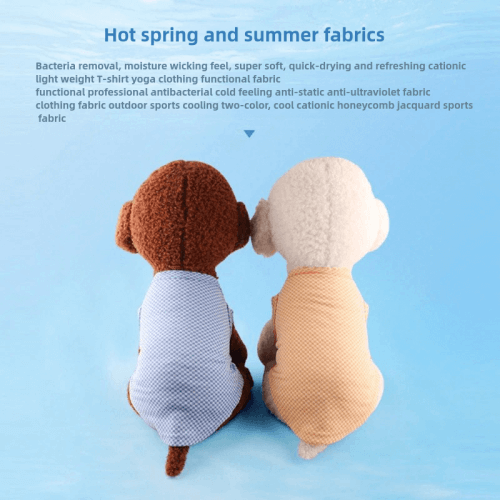 main-02_PicCopilot_e3937