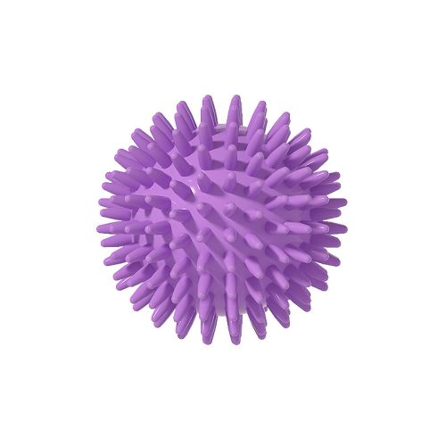 Interactive Pet chew Toy with Sounds Grinding teeth bite resistant TPR hollow long burr ball
